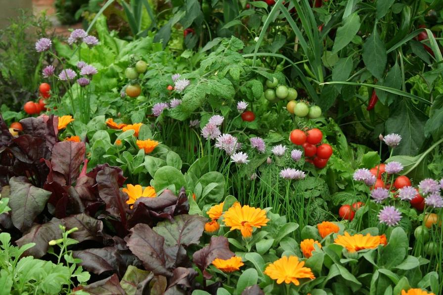 Plan Your Garden Workshop with Achin' Back