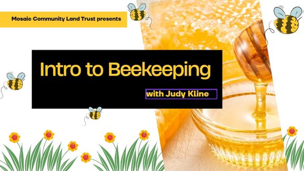 Introduction to Beekeeping with Judy Kline
